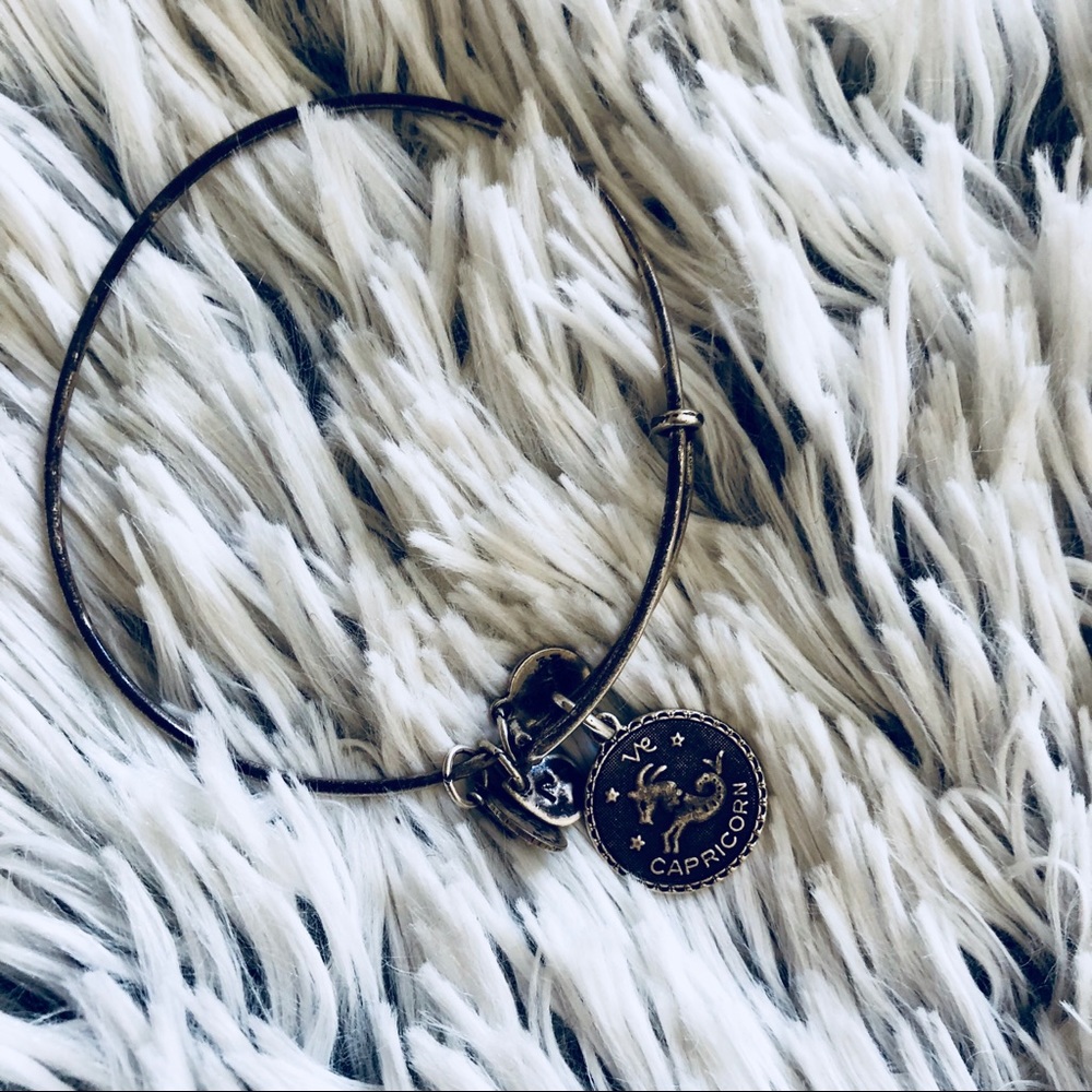 ⭐️Alex and Ani Capricorn Bracelet⭐️